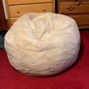 Bean bag with fury cover